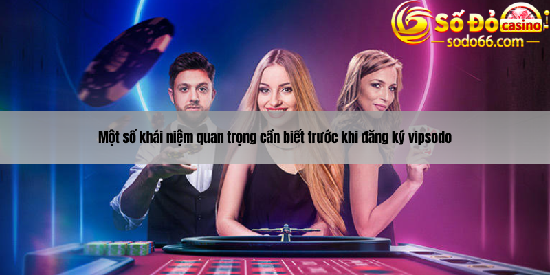 Một số khái niệm quan trọng cần biết trước khi đăng ký vipsodo
