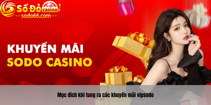 Mục đích khi tung ra các khuyến mãi vipsodo