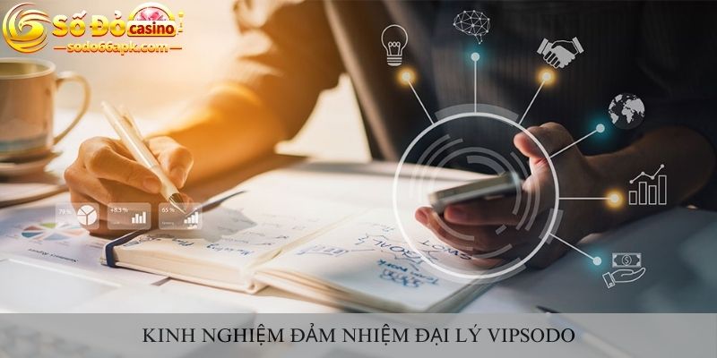 Kinh nghiệm đảm nhiệm đại lý vipsodo
