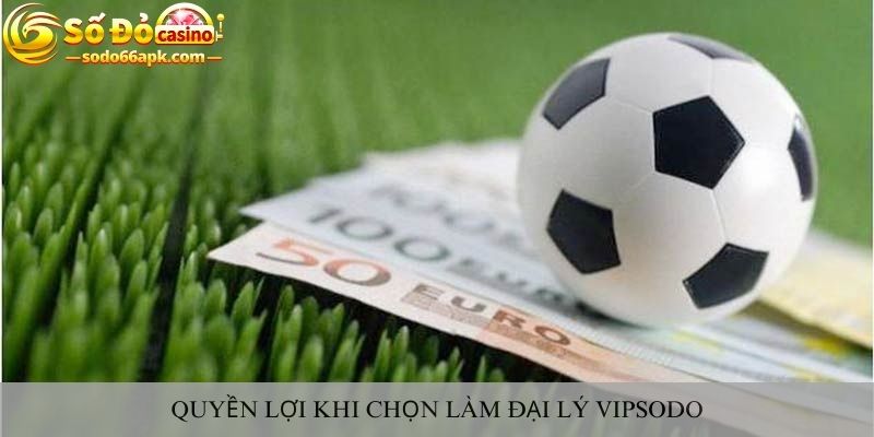 Quyền lợi khi chọn làm đại lý vipsodo